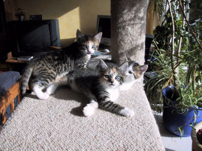 Wir geniessen die Herbstsonne, bitte nicht st�ren