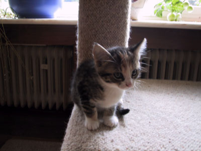 Ich bin Susi, neugiering und bei Entdeckungen immer die Erste