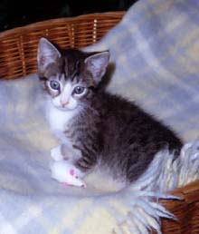 S�ckchen an Ihrem ersten Tag bei uns