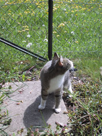 S�ckchen im Fr�hjahr 2002 in unserem Garten